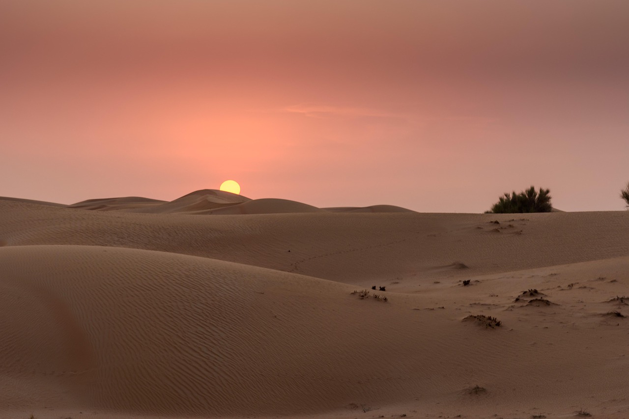Crown Prince of Dubai Endurance Festival’s 18th edition star