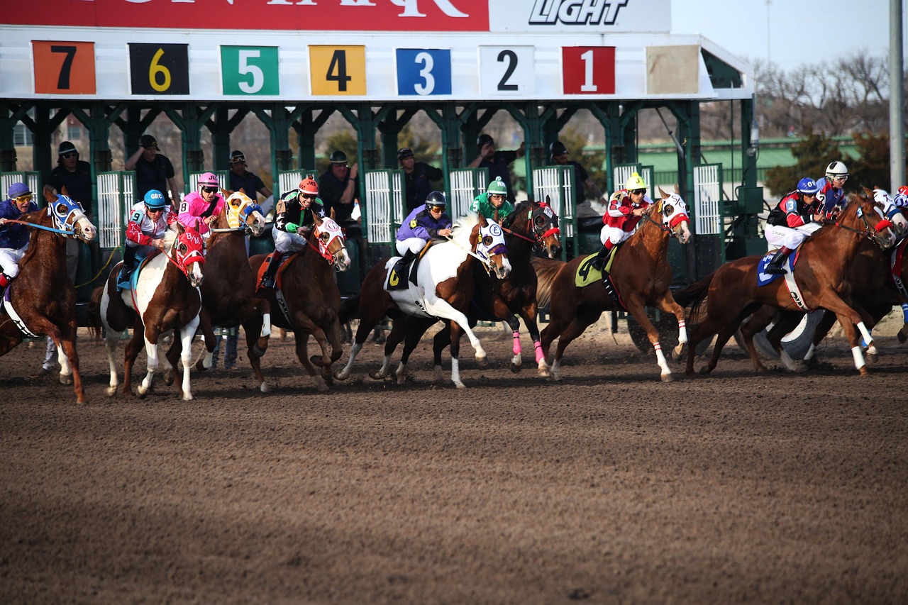 Magnitude wins Dubai Gold Cup after $12M race goes ahead des