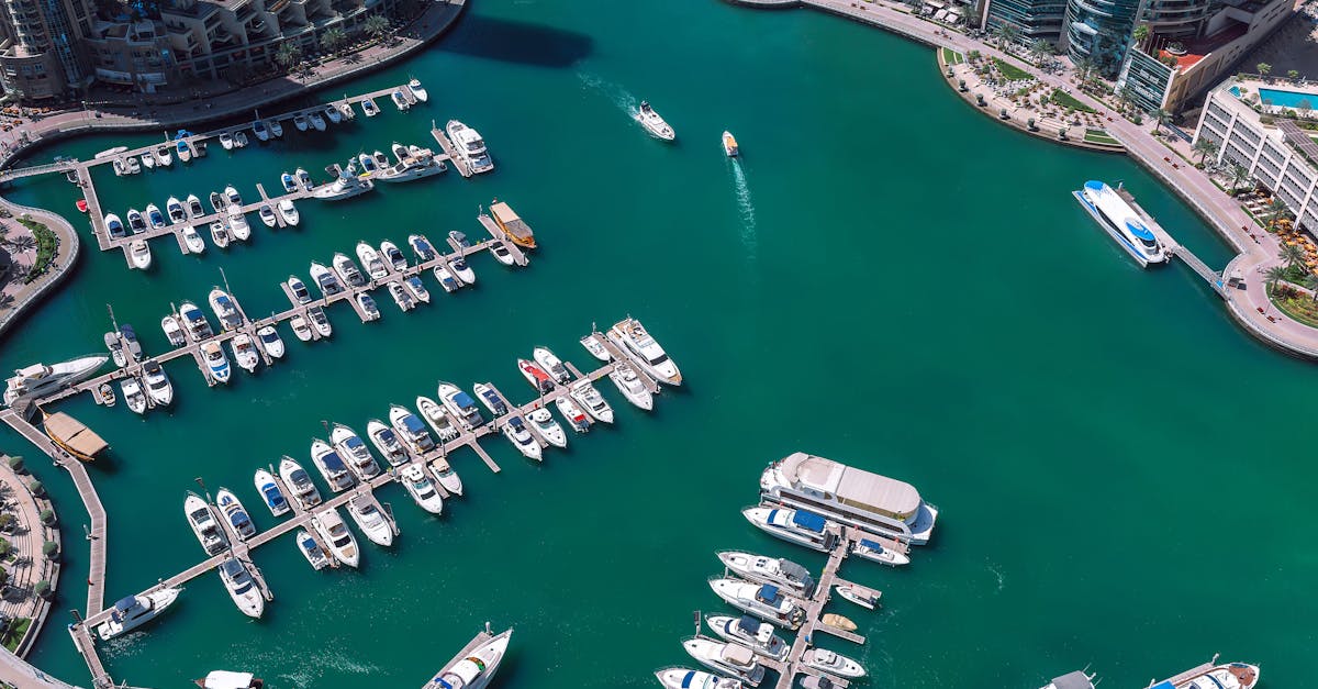 UAE Hails International Maritime Organization's Stance on St