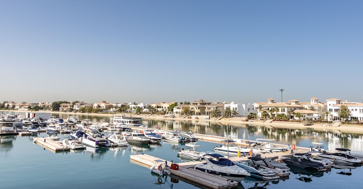 UAE Residents Remain Calm Amid Global Tensions
