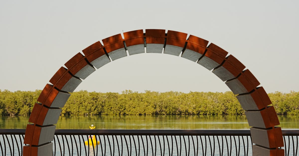 UAE's Ancient Mangrove Supermarkets Revealed