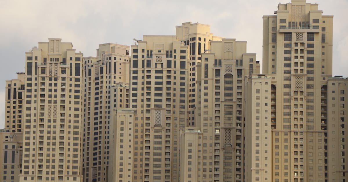 UAE Mediates Release of 386 Prisoners in Russia-Ukraine Exch