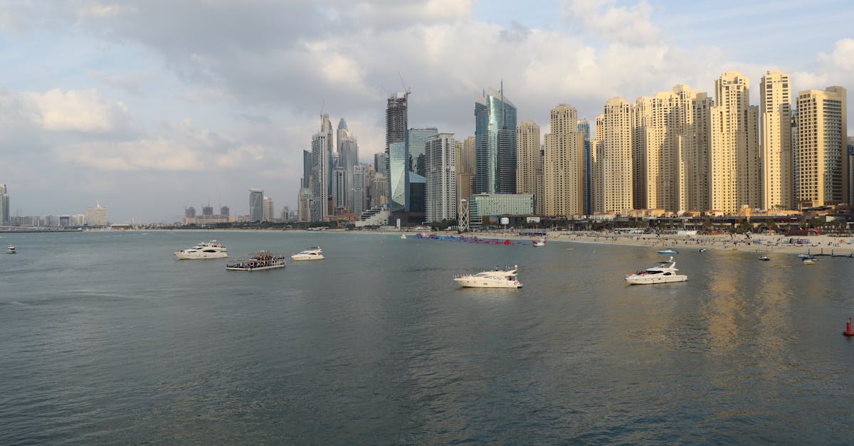 Stingrays Spotted in Dubai Marina's Shallow Waters