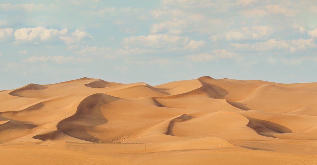 $12 billion in sand – why Dubai’s Palm Islands are slowly si